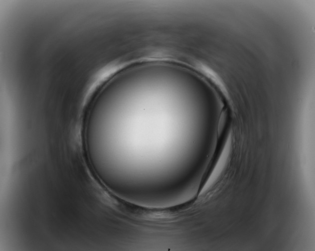 X0000086741464200704201656