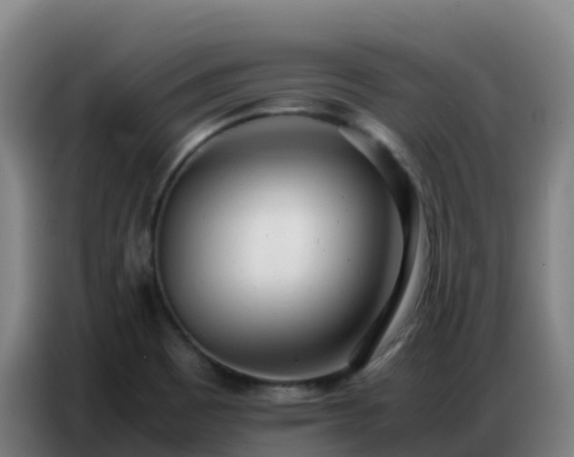 X0000086741465200704201656