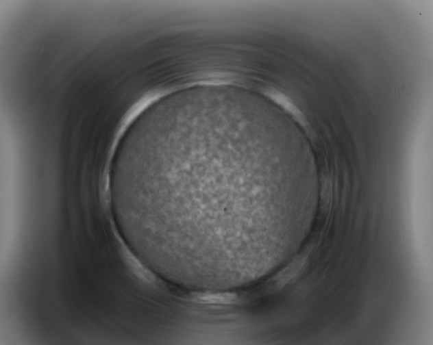 X0000086741466200704201656