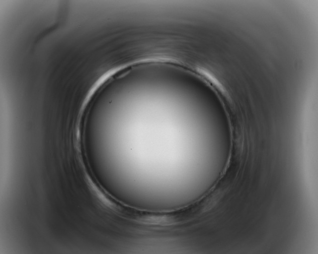 X0000086741468200704201656