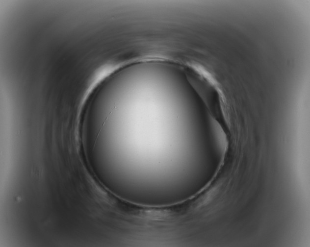 X0000086741469200704201656