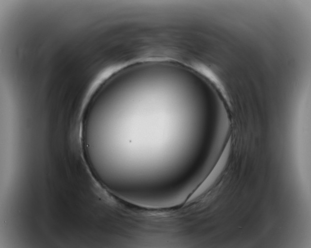 X0000086741472200704201656