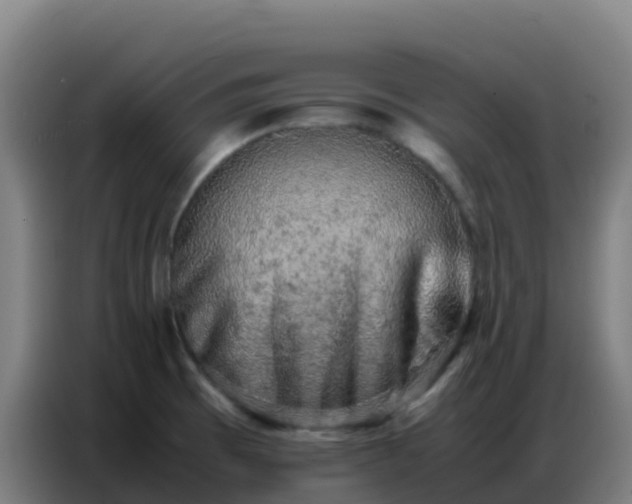 X0000086741473200704201656