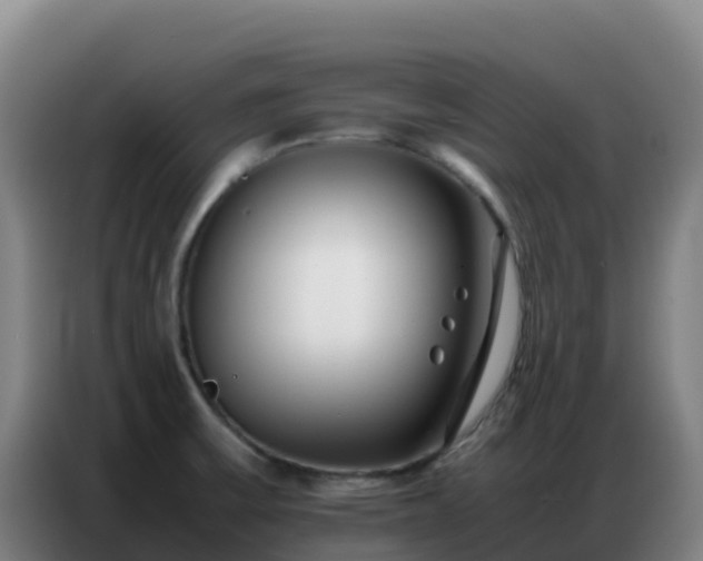 X0000086741475200704201656