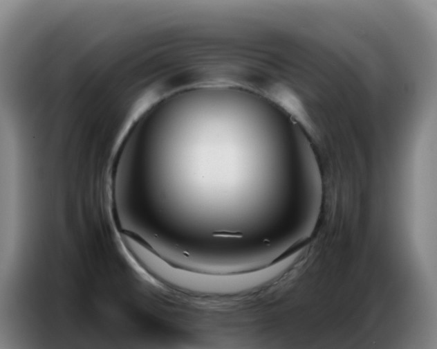 X0000086741476200704201656