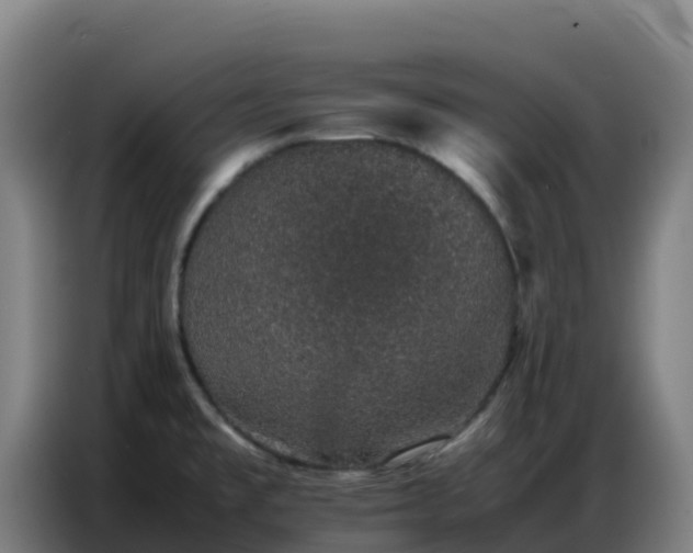 X0000086741477200704201656