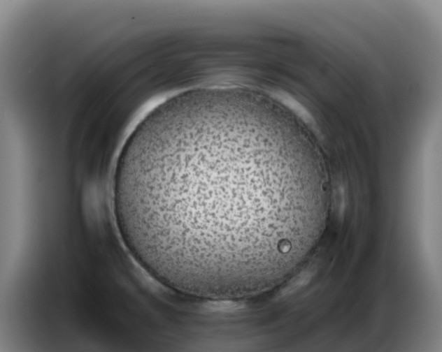X0000086741478200704201656
