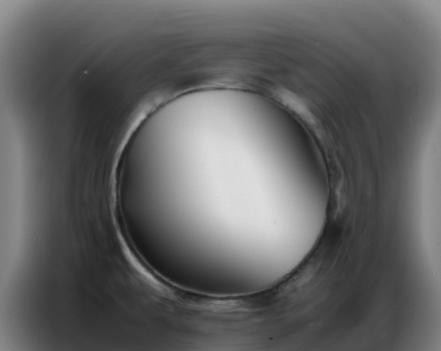 X0000086741479200704201656