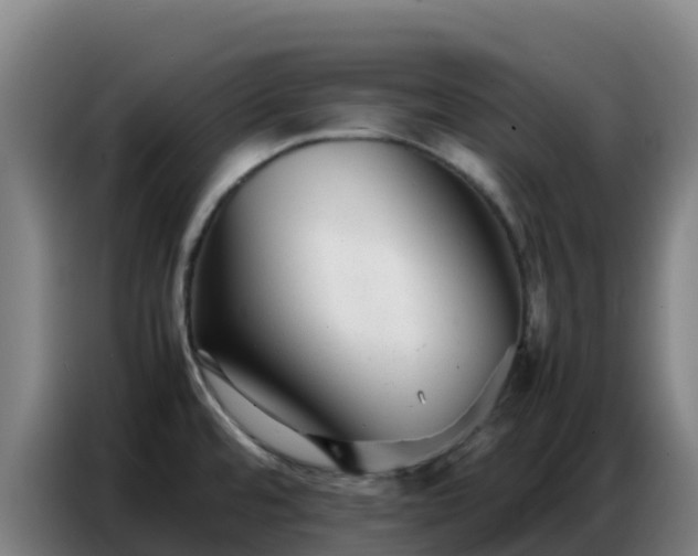 X0000086741480200704201656