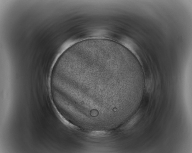 X0000086741482200704201656