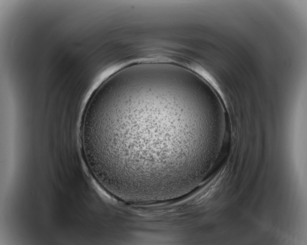 X0000086741485200704201656