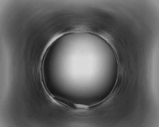 X0000086741486200704201656