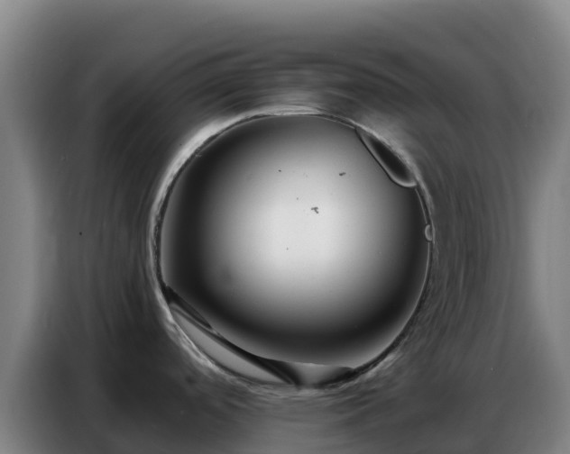 X0000086741488200704201656