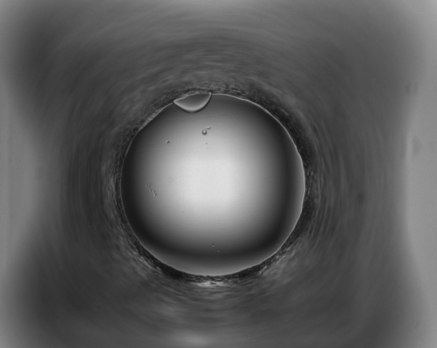 X0000086741489200704201655