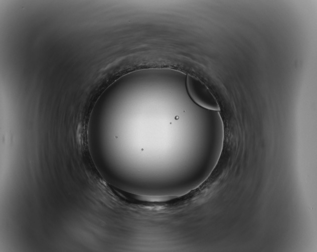 X0000086741490200704201655