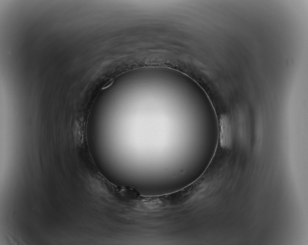 X0000086741491200704201655