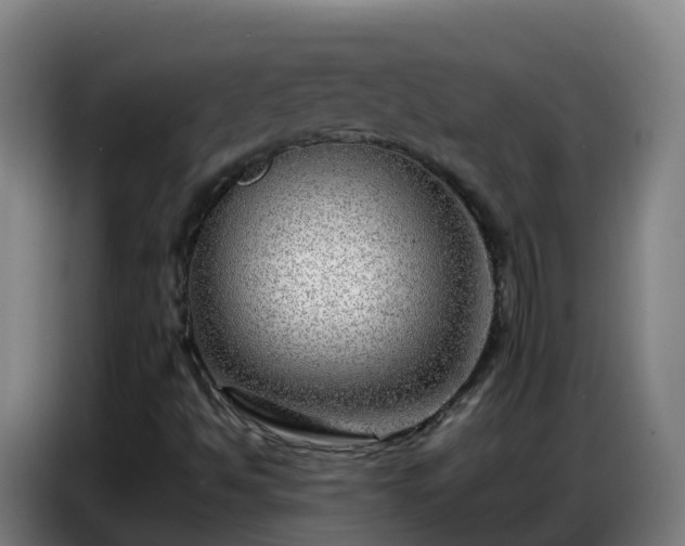 X0000086741494200704201655