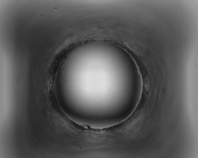 X0000086741495200704201655