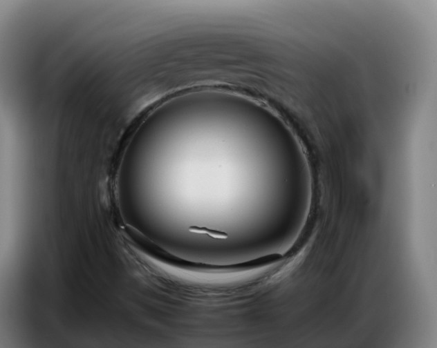X0000086741497200704201655