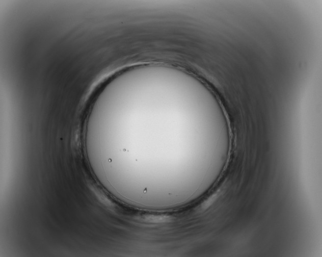 X0000086741498200704201655