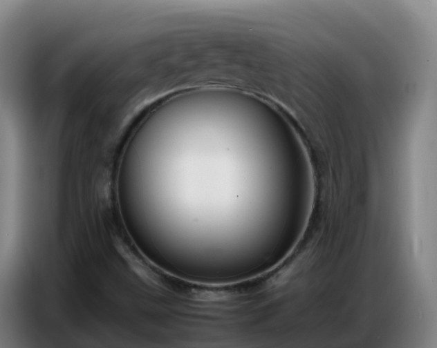 X0000086741499200704201655