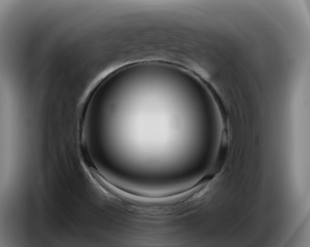 X0000086741500200704201655