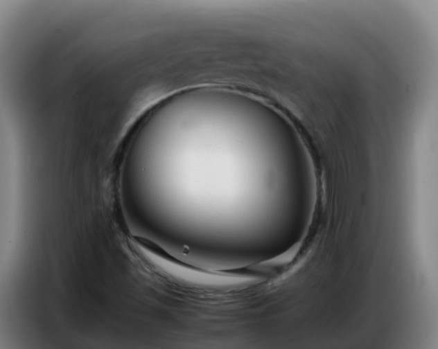 X0000086741501200704201655