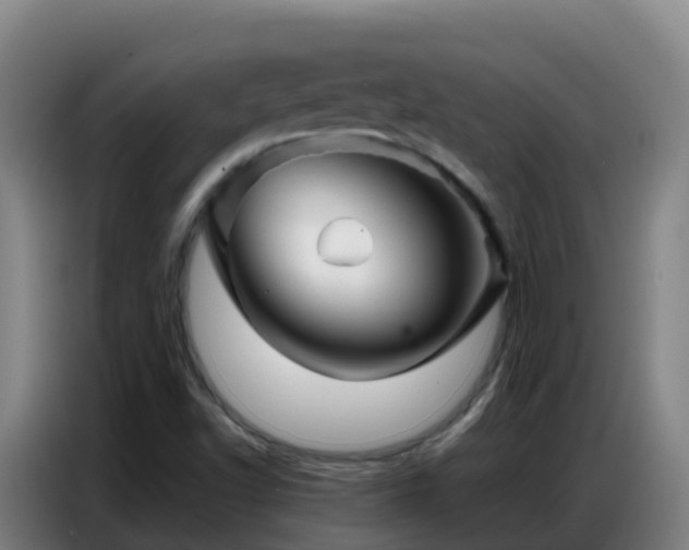 X0000086741502200704201655