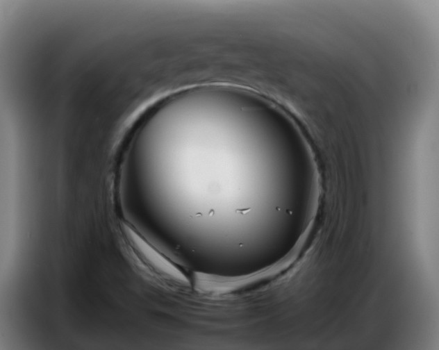 X0000086741503200704201655