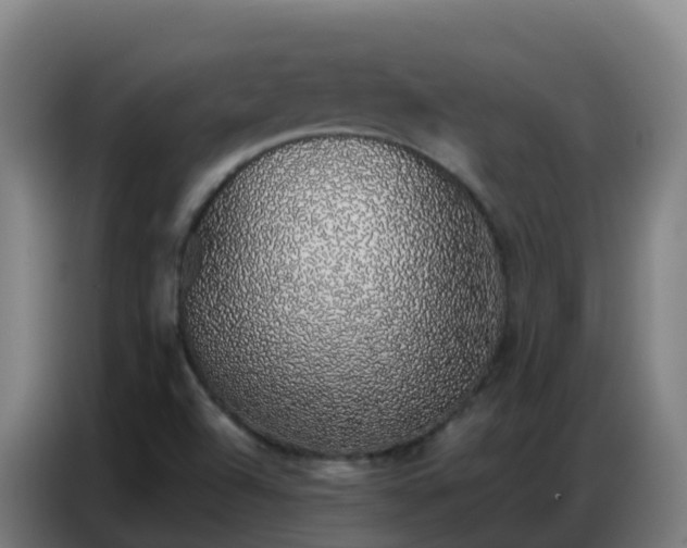 X0000086741504200704201655