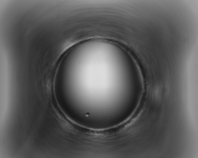 X0000086741505200704201655
