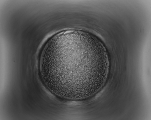 X0000086741506200704201655