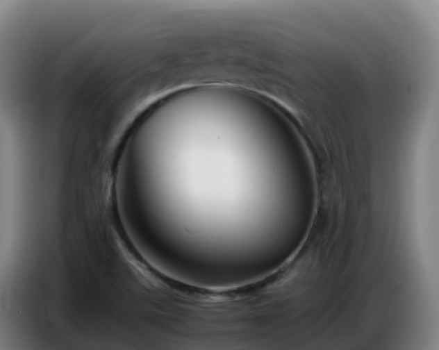 X0000086741507200704201655