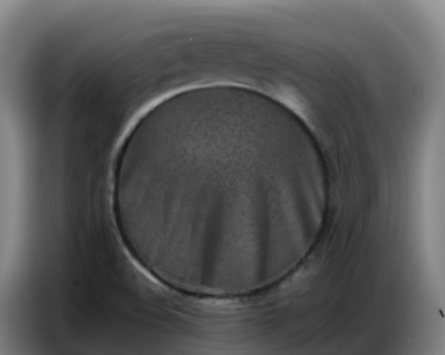 X0000086741508200704201655