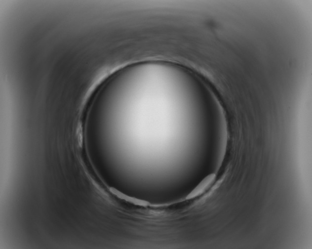 X0000086741509200704201655