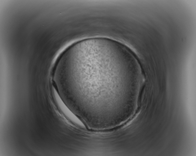 X0000086741510200704201655