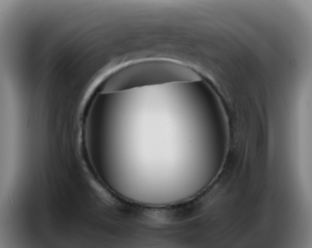X0000086741511200704201655