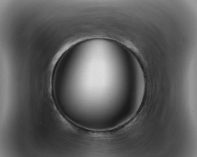 X0000086741512200704201655