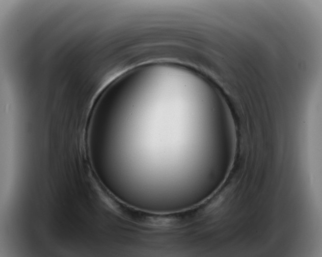 X0000086741513200704201655