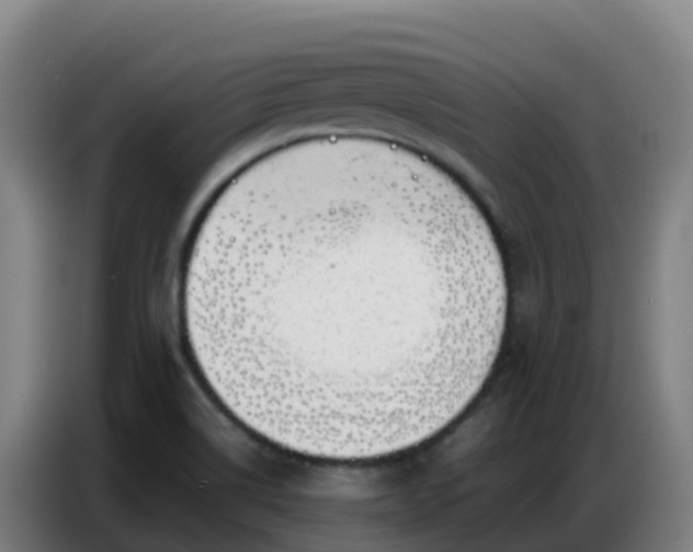 X0000086741514200704201655