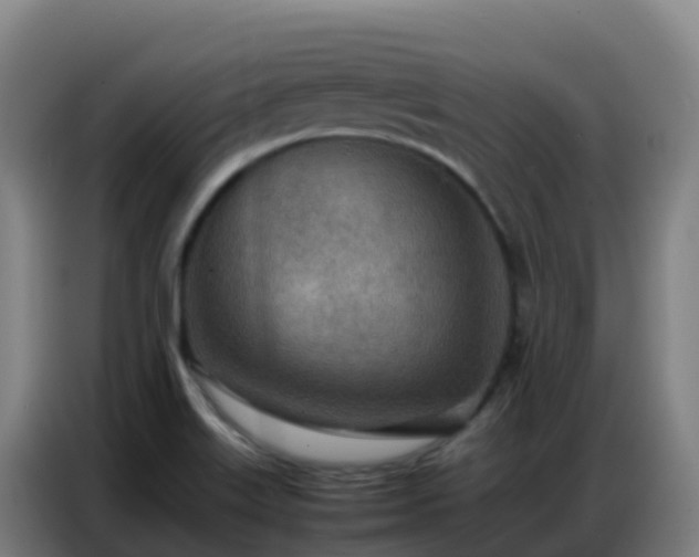 X0000086741515200704201655