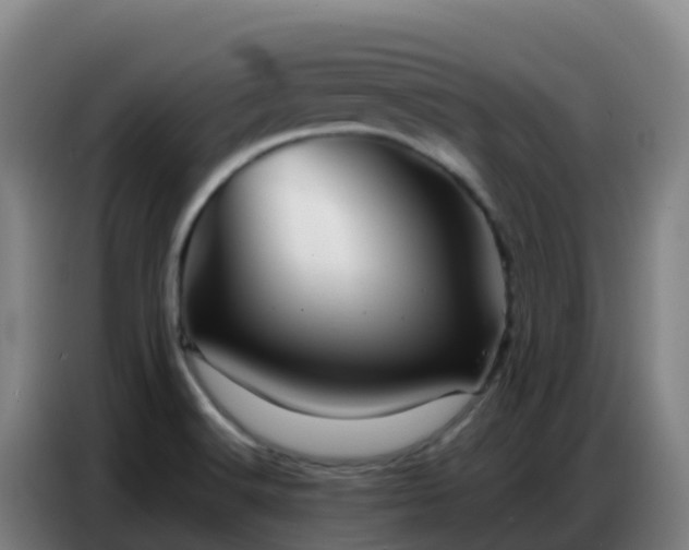 X0000086741516200704201655