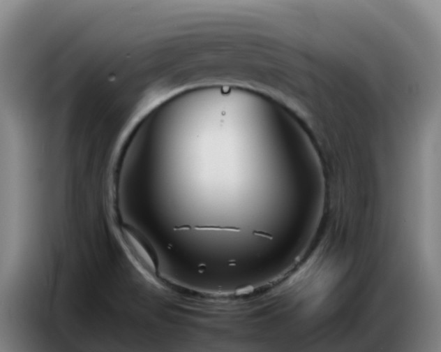 X0000086741517200704201655