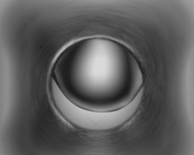 X0000086741518200704201656