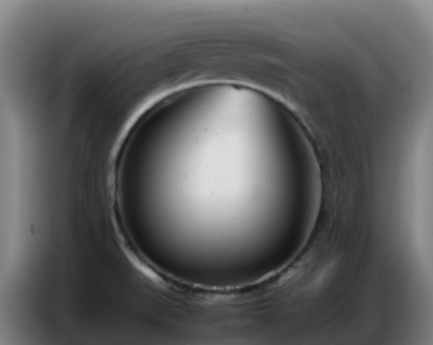 X0000086741519200704201656