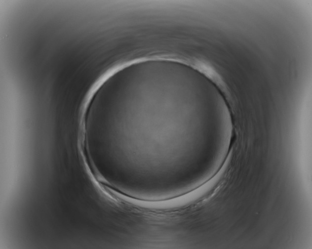 X0000086741520200704201656