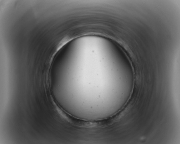X0000086741521200704201656