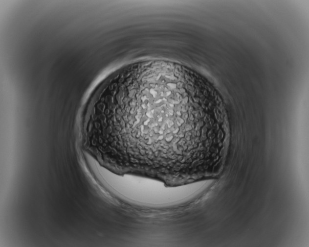X0000086741522200704201656