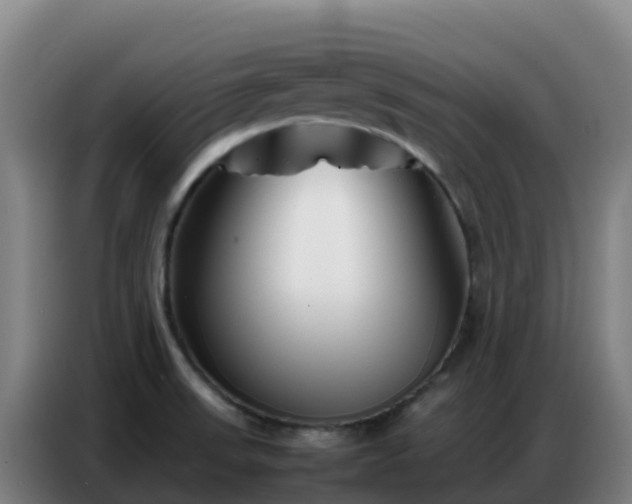X0000086741523200704201656