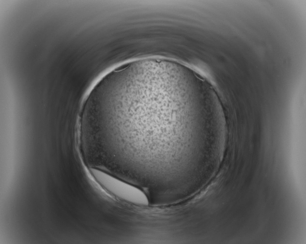 X0000086741524200704201656